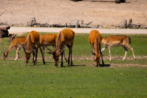 Img_9001